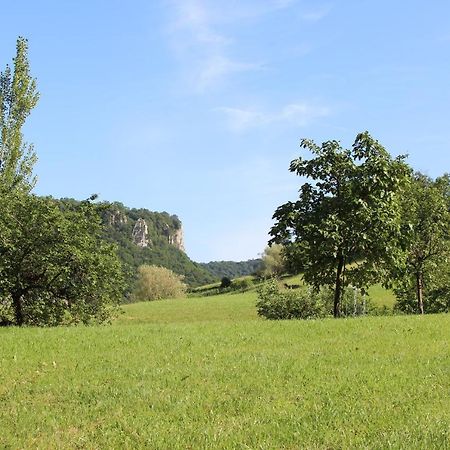 Domaine De Bellevue Gite Du Mont Poupet Marnoz Exterior foto